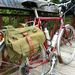 Profile Picture of Zingbike (@roytrotter7) on Pinterest