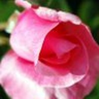 Profile Picture of Barbara Engler (@barbara-engler-2) on Quora