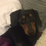 Profile Picture of baileyrocker22 (@baileyrocker22) on Instagram