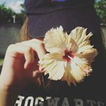 Profile Picture of Alice Rhee (@lilly.rhee) on Instagram