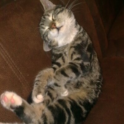 Profile Picture of Mark McNaught (@Rite2chat) on Twitter