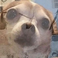 Profile Picture of Bianca Joselin Martínez Santiago (@bianca-joselin-martínez-santiago) on Quora