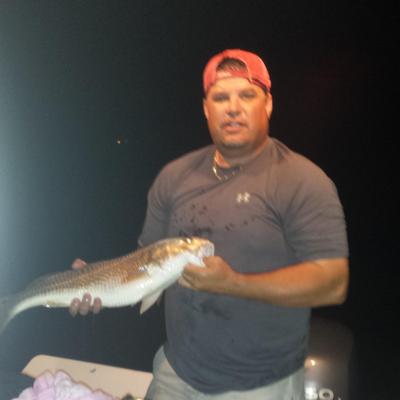 Profile Picture of Scott Whitaker (@swhitak250) on Twitter