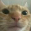Profile Picture of Patrick McNutt (@patrickmcnutt) on Tiktok