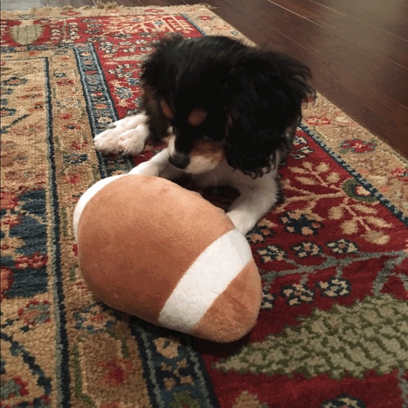 Profile Picture of Tempe Wagner (@temwagner) on Poshmark