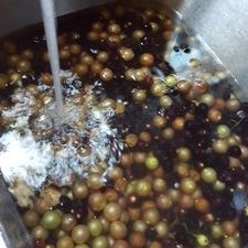 Profile Picture of Shannon Jackson-Lowe (@jrlfarms) on Twitter