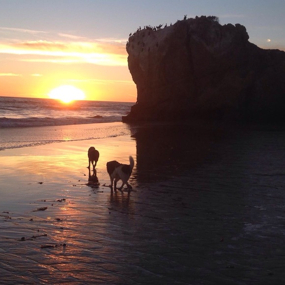 Profile Picture of Margurite Lalonde (@dreampeel) on Poshmark