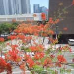 Profile Picture of Joseph Belen (@joseph.belen.391) on Instagram