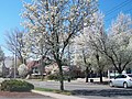 Profile Picture of Spring Glen, Hamden - Wikipediaon Wikipedia