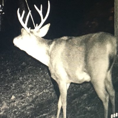 Profile Picture of Evan Roach (@evanroach527) on Twitter
