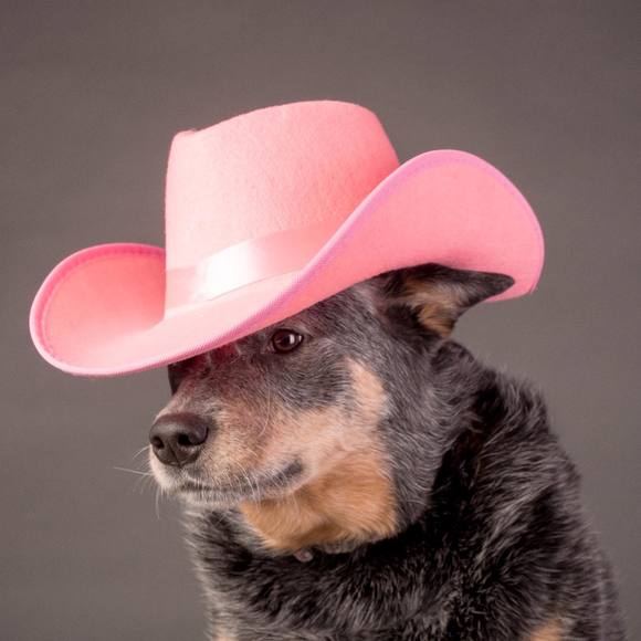 Profile Picture of Debra Klecan (@dklecan) on Poshmark