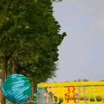 Profile Picture of Thomas Goïta (@thomas.goita) on Facebook