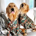 Profile Picture of Ramen Noodle And Pinot G (@ramenpairedwithpinot) on Instagram