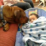Profile Picture of 0414696021 (@dinawalters2025) on Instagram