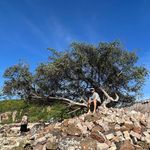 Profile Picture of Hoang Vu (@syhoangvu) on Instagram