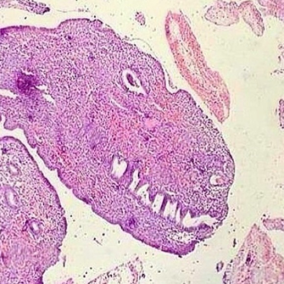 Profile Picture of Briana Brazile (@bbrazile) on Poshmark