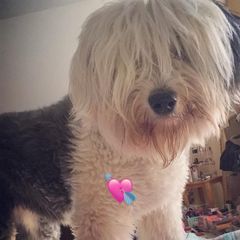 Profile Picture of Jessica Devoid145 (@buttpatter80) on Tiktok