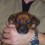 Profile Picture of Michael Rakow (@michael_rakow_) on Instagram