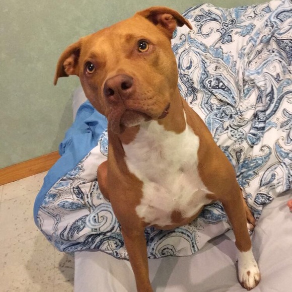 Profile Picture of Alex Rico (@alexr2325) on Poshmark