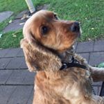 Profile Picture of Lorraine Crawford (@l.crawford66) on Instagram