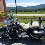 Profile Picture of Wade Reed (@reedsnthewind43) on Instagram