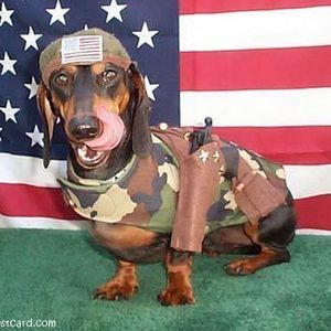 Profile Picture of Jerry Barnett (@curtuckman) on Myspace