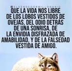 Profile Picture of Teodoro Juarez Baldera (@teodoro.juarezbaldera.50) on Facebook