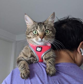 Profile Picture of Jeremy Soo (@jerjergege) on Facebook