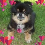 Profile Picture of Tamerica Sperdakos (@tsperdakos) on Instagram