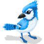 Profile Picture of Paula Cochran (@pcochran2nc) on Pinterest
