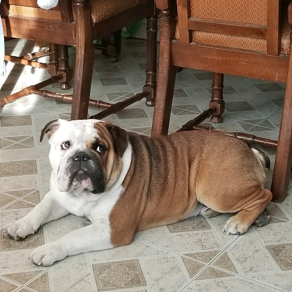 Profile Picture of Juan Jimenez (@juanmj1107) on Poshmark