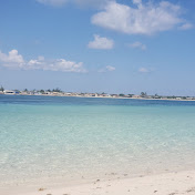 Wilber Perez - Youtube Profile Picture of Wilber Perez (@wilberperez6738) on Youtube