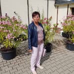 Profile Picture of Barbara Keller (@Barbara-Keller) on Facebook