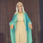 Profile Picture of Katy Cesareo Lopez (@katycesareolopez) on Youtube