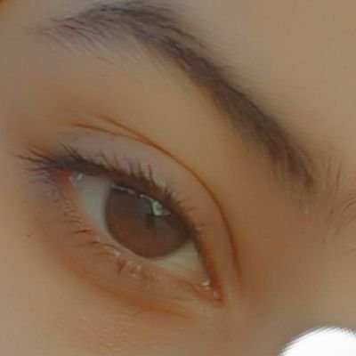 Profile Picture of Kim Loe (@Mostafa82414766) on Twitter