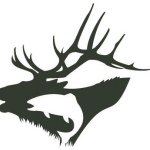 Profile Picture of Bradly (@bradlycandiracci) on Instagram