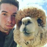 Profile Picture of Nick Kramer (@kramediggidydogg) on Instagram