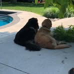 Profile Picture of Kim Durkee (@kim.durkee.96) on Facebook