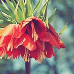 Profile Picture of Colin Tobin (@colintobing) on Instagram