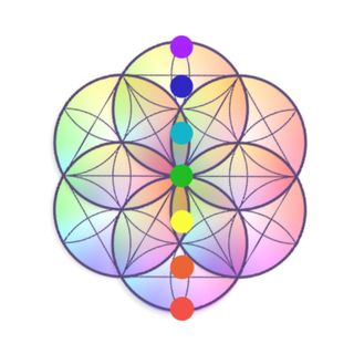 Profile Picture of A Mindful Movement (@amindfulmovement) on Instagram