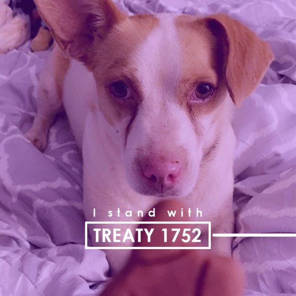 Profile Picture of Rebecca Paul (@bxccalynnnn) on Poshmark