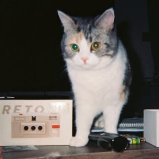 Profile Picture of w’s journal (@wenwu_) on Instagram