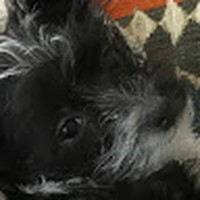 Profile Picture of Blake Rosen (@blake-rosen-6) on Quora