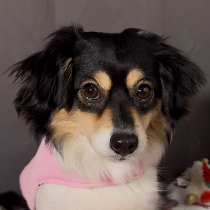 Profile Picture of miranda (@mshaug) on Tiktok