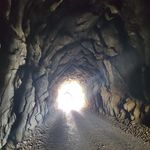 Profile Picture of Derek Van Zandt (@derek.vanzandt) on Instagram