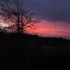 Profile Picture of Trudy (@trudykidd) on Tiktok