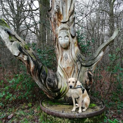 Profile Picture of Wirth Jean Jacques (@JacquesWirth) on Twitter