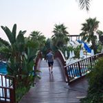 Profile Picture of David (@david_russiano) on Instagram