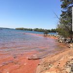 Profile Picture of Nicolas Lee Feldman (@nicolas.l.feldman) on Instagram