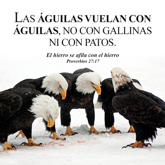 Profile Picture of Joseph Portillo (@joemed) on Poshmark